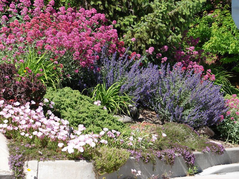 Learn Why Xeriscape Landscape Design Is The Best Solution To Your Drought Concerns - Shrubhub