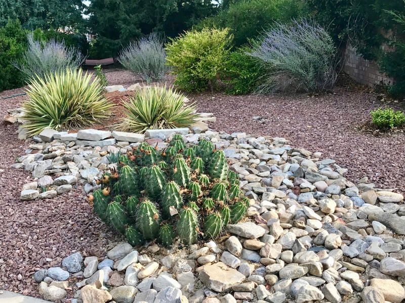 Learn Why Xeriscape Landscape Design Is The Best Solution To Your Drought Concerns - Shrubhub