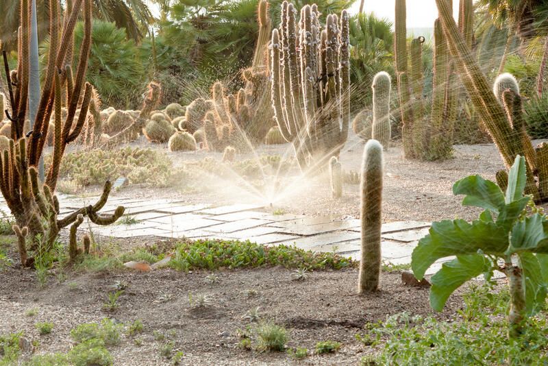 Learn Why Xeriscape Landscape Design Is The Best Solution To Your Drought Concerns - Shrubhub