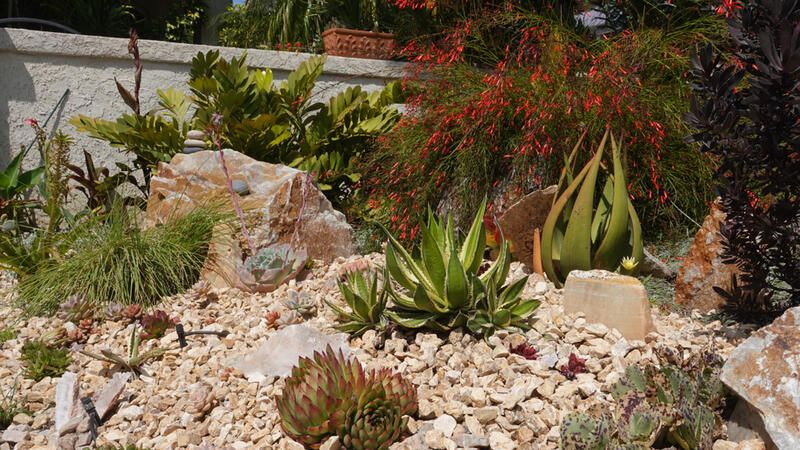 Learn Why Xeriscape Landscape Design Is The Best Solution To Your Drought Concerns - Shrubhub