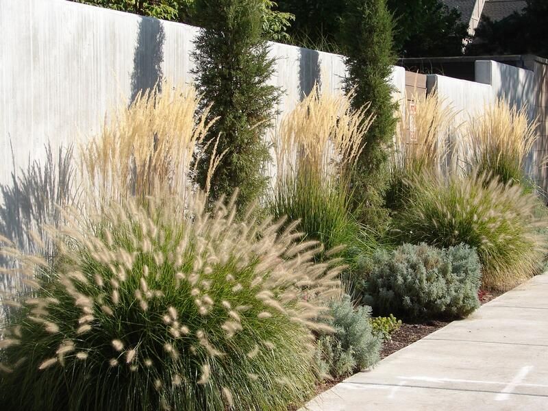 Learn Why Xeriscape Landscape Design Is The Best Solution To Your Drought Concerns - Shrubhub