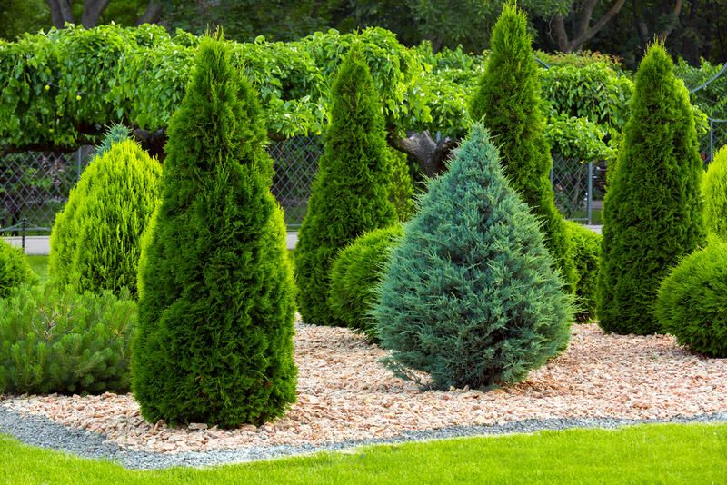 28 Front Yard Landscaping Ideas To Make Your Home More Attractive - Shrubhub