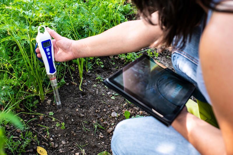 Get A Yard That Looks Good Enough To Eat! The Best Edible Garden Ideas  - Shrubhub