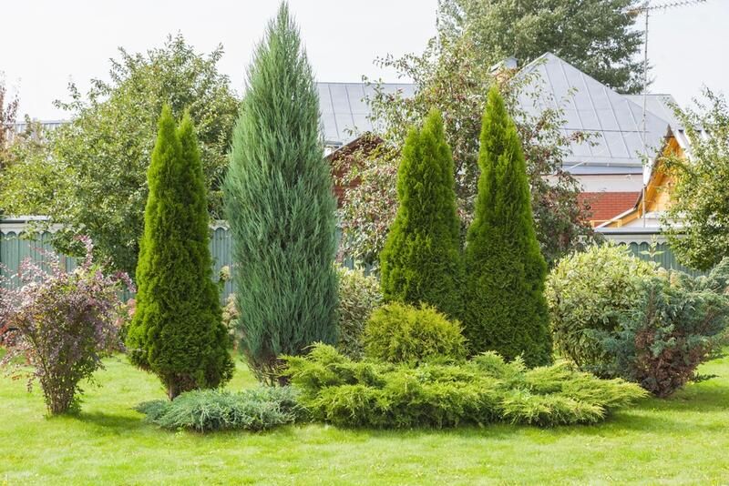 13 Autumn Landscaping Ideas That Will Make Your Yard Pop - Shrubhub