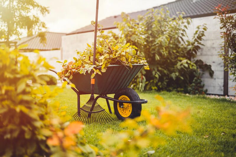 13 Autumn Landscaping Ideas That Will Make Your Yard Pop - Shrubhub