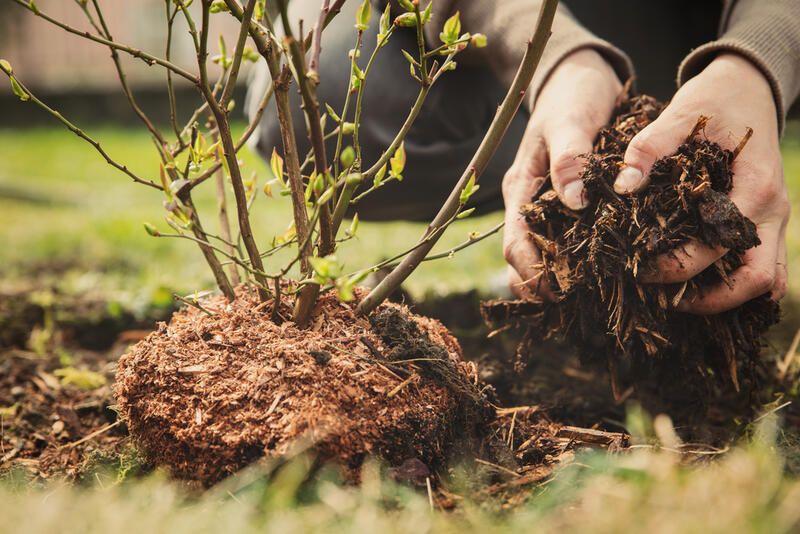 13 Autumn Landscaping Ideas That Will Make Your Yard Pop - Shrubhub