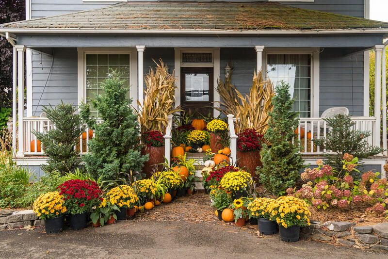 13 Autumn Landscaping Ideas That Will Make Your Yard Pop - Shrubhub