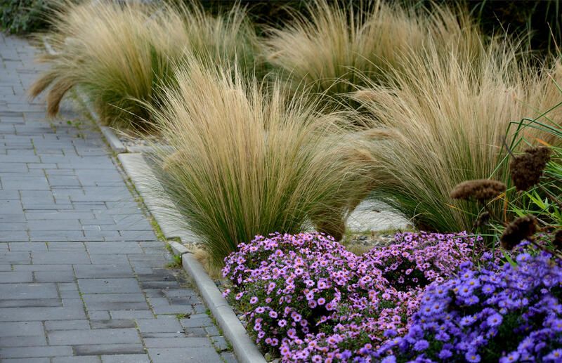 13 Autumn Landscaping Ideas That Will Make Your Yard Pop - Shrubhub