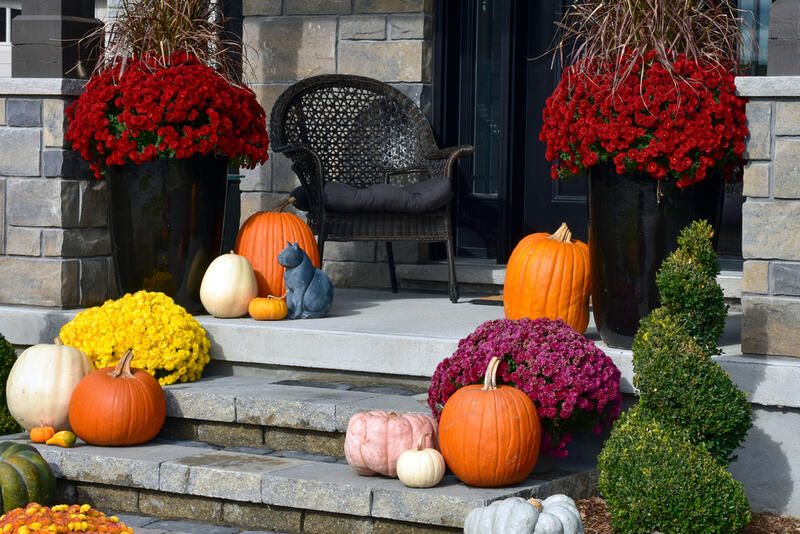 13 Autumn Landscaping Ideas That Will Make Your Yard Pop - Shrubhub