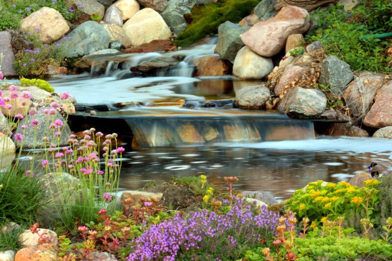 13 Autumn Landscaping Ideas That Will Make Your Yard Pop - Shrubhub