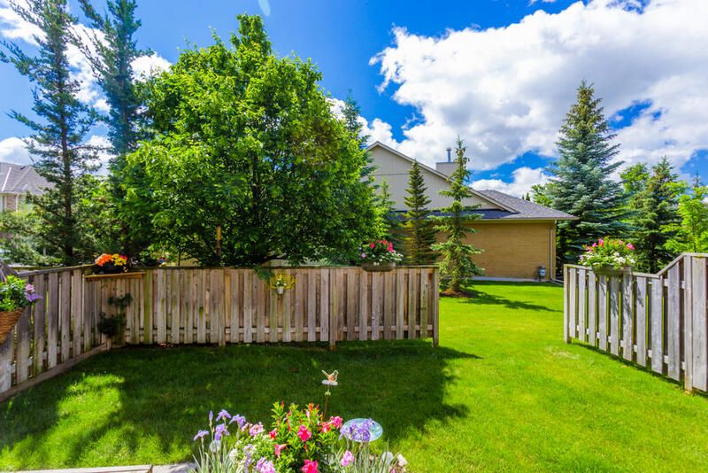 The Best Native Plants for Mississauga Yards - Shrubhub