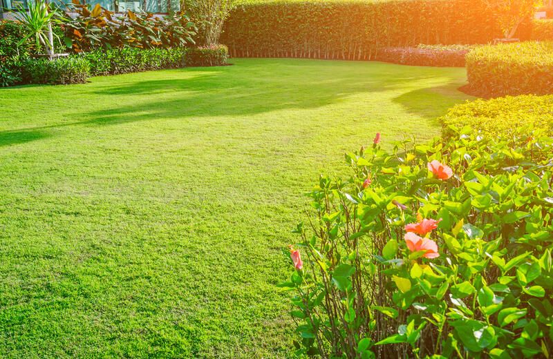 Outdoor Design: The Hottest Garden Trends - Shrubhub