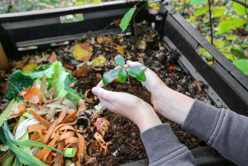 Composting: All You Need To Know About This Sustainable Practice - Shrubhub