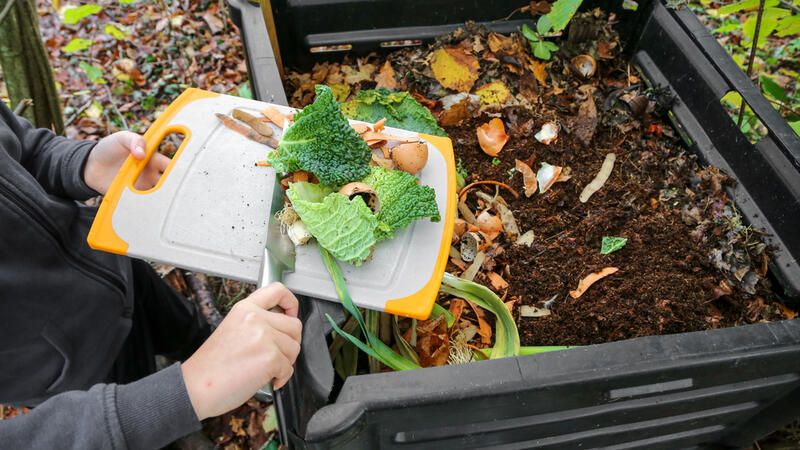 Composting: All You Need To Know About This Sustainable Practice - Shrubhub