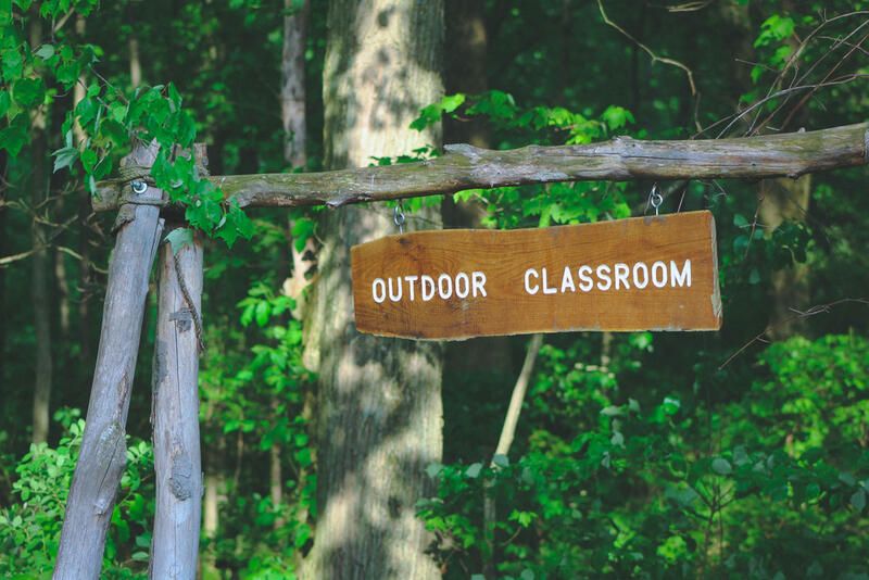 The Ultimate Guide to Engaging Outdoor Learning Spaces