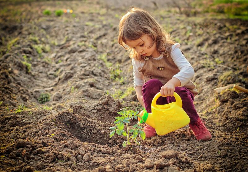 The Ultimate Guide to Engaging Outdoor Learning Spaces - Shrubhub