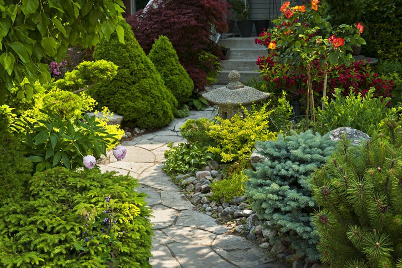 Terraced Yard Tips, Tricks, Ideas & All You Need to Know  - Shrubhub