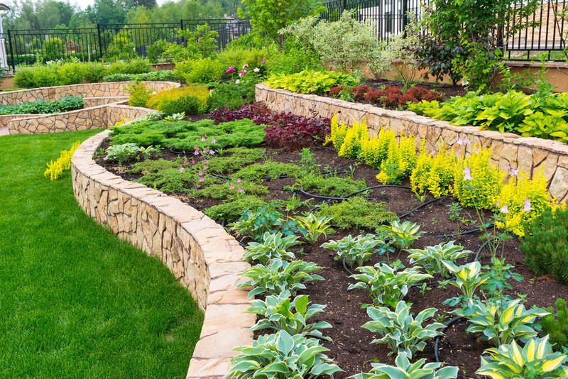 Terraced Yard Tips, Tricks, Ideas & All You Need to Know  - Shrubhub