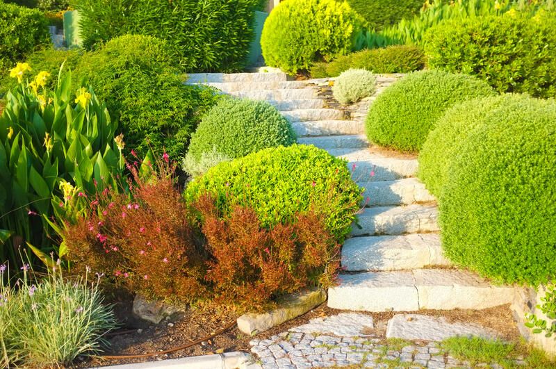 Terraced Yard Tips, Tricks, Ideas & All You Need to Know 