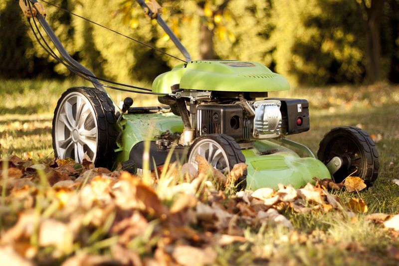 Your Guide To Using Fallen Leaves As Organic Compost And Organic Mulch  - Shrubhub