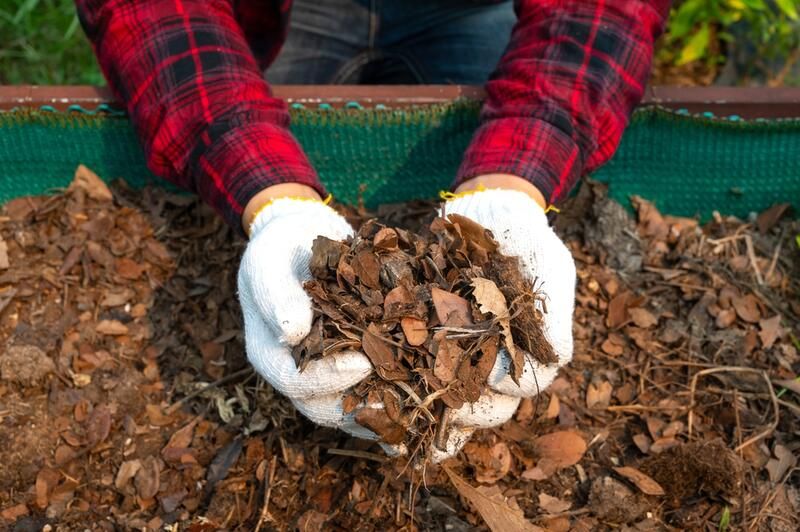 Your Guide To Using Fallen Leaves As Organic Compost And Organic Mulch  - Shrubhub