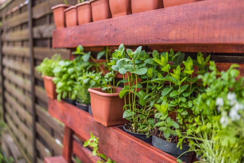 Your Guide To Vertical Gardening