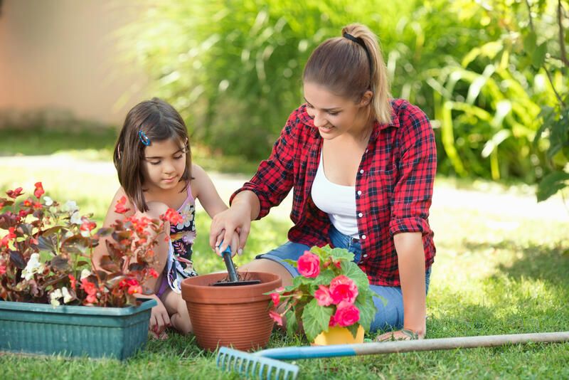 Gardening Health Benefits: How A Green Environment Improves Your Lifestyle - Shrubhub