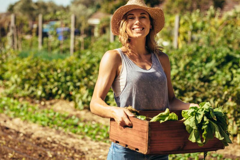 Gardening Health Benefits: How A Green Environment Improves Your Lifestyle - Shrubhub