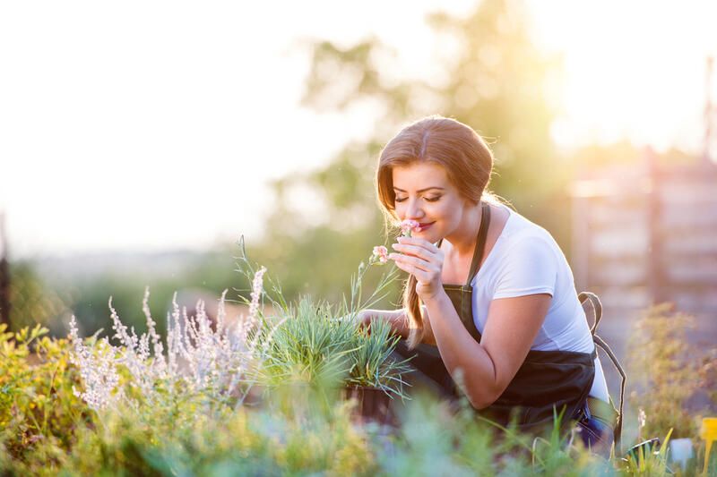 Gardening Health Benefits: How A Green Environment Improves Your Lifestyle - Shrubhub