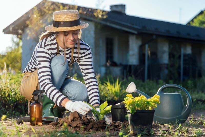 Sustainable Gardening Tips: Gardening Ideas to Make Your Garden More Eco-Friendly - Shrubhub