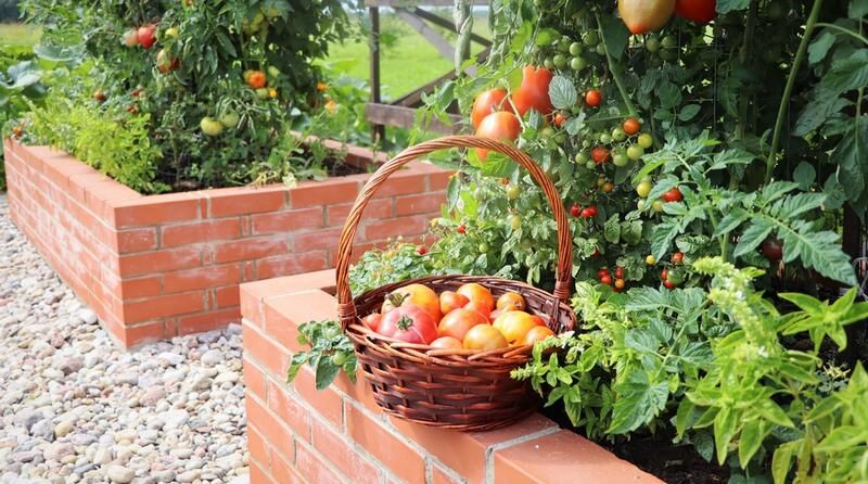 Sustainable Gardening Tips: Gardening Ideas to Make Your Garden More Eco-Friendly - Shrubhub