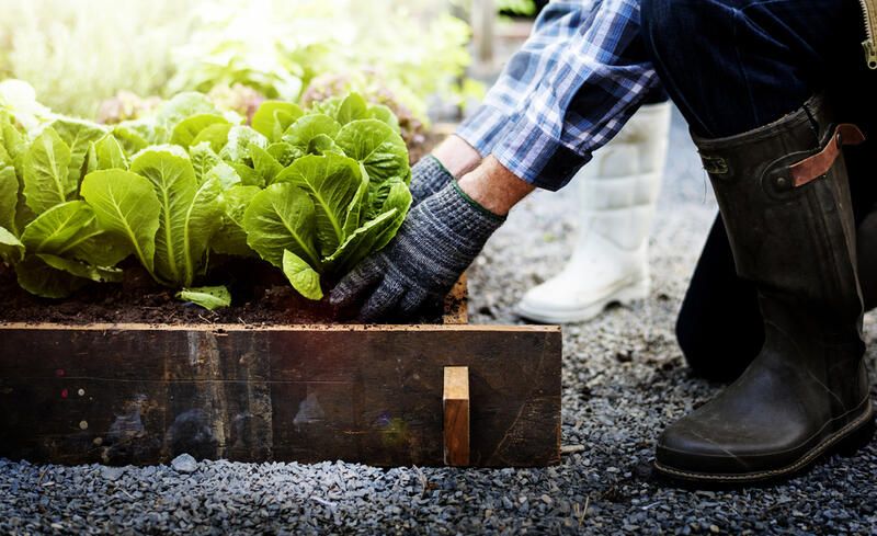 Accessible Garden Tips: Create A Space That Everyone Can Enjoy! - Shrubhub