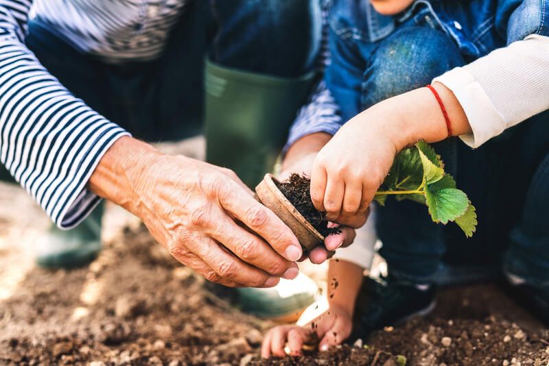 Accessible Garden Tips: Create A Space That Everyone Can Enjoy! - Shrubhub