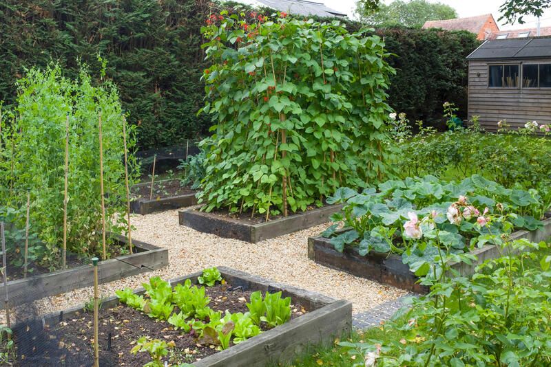 Accessible Garden Tips: Create A Space That Everyone Can Enjoy! - Shrubhub