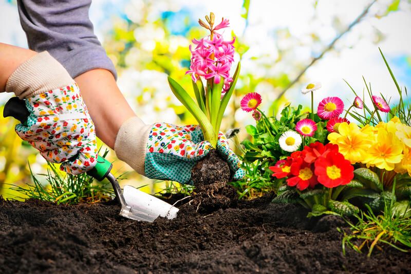 Accessible Garden Tips: Create A Space That Everyone Can Enjoy! - Shrubhub