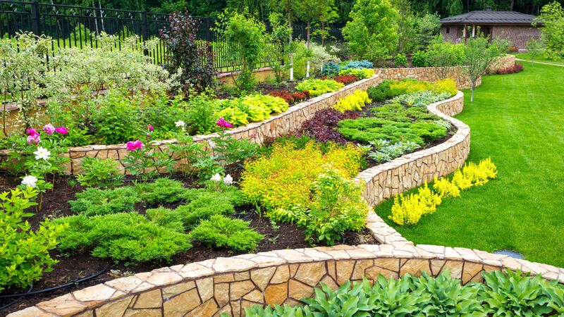 ShrubHub's Ultimate Guide to Raised Garden Beds - Shrubhub