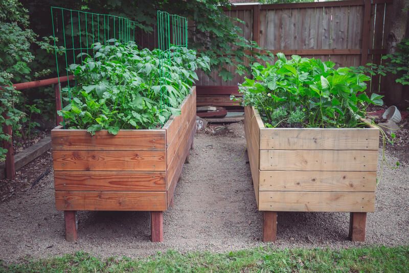 ShrubHub's Ultimate Guide to Raised Garden Beds - Shrubhub