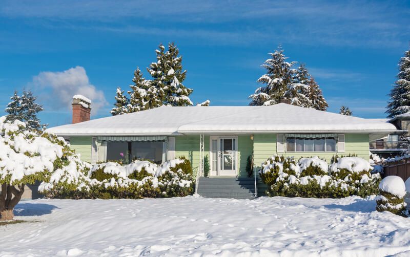 How To Protect Plants From Frost Damage - Shrubhub