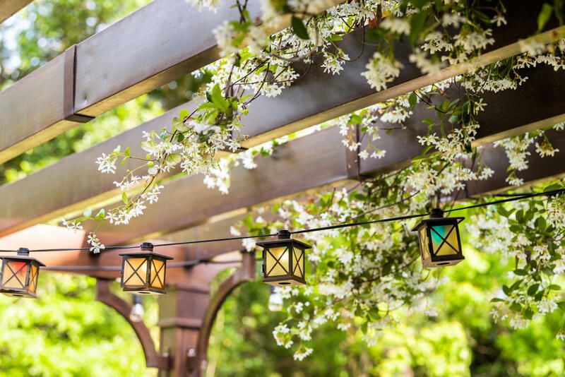 Bring Vertical Appeal to Your Space With These Garden Trellis Ideas - Shrubhub