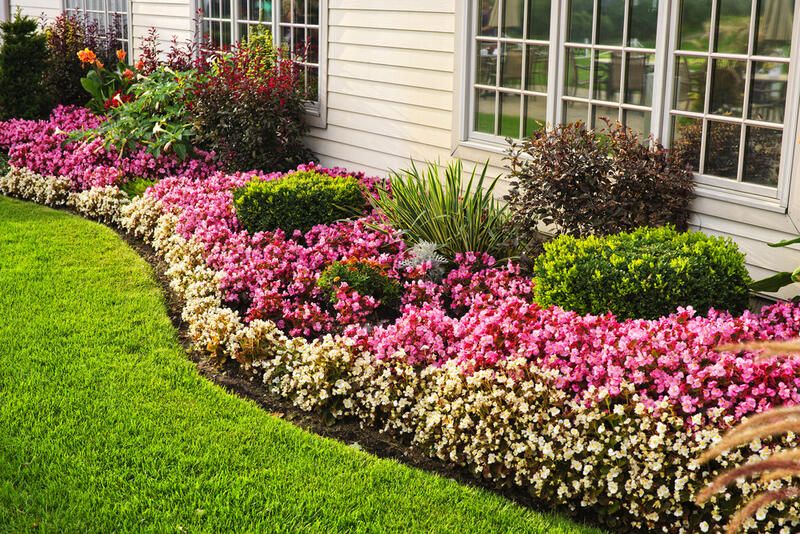 Affordable and Effortless Garden Edging Ideas  - Shrubhub