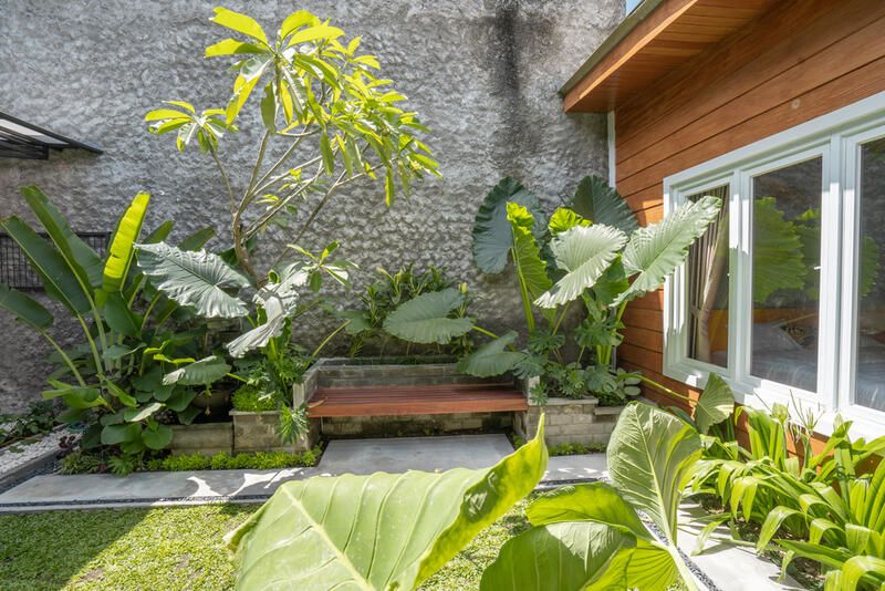 Affordable and Effortless Garden Edging Ideas  - Shrubhub