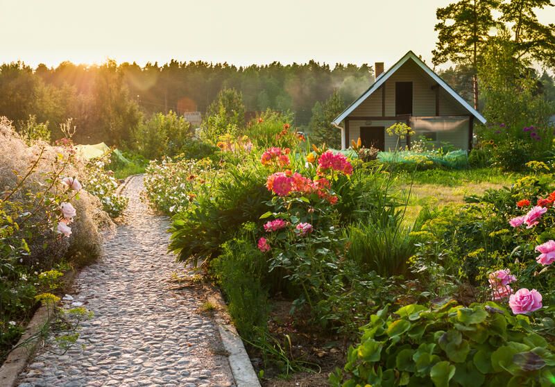 Affordable and Effortless Garden Edging Ideas  - Shrubhub