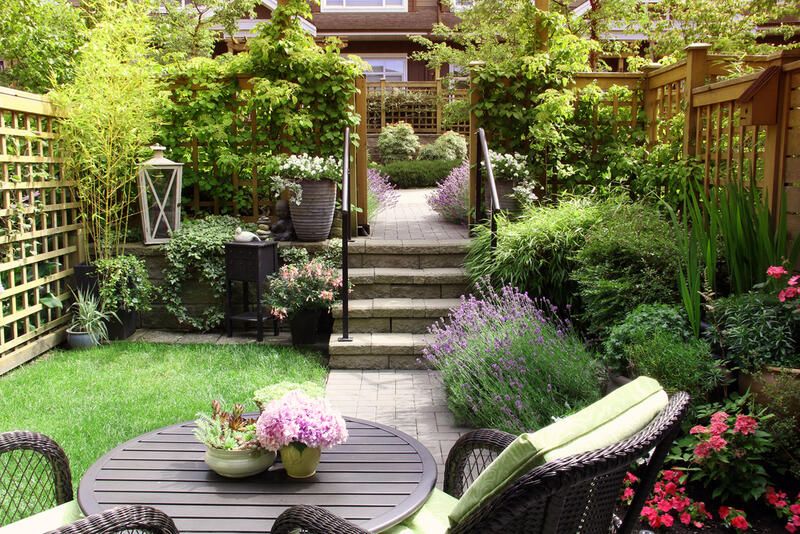 Affordable and Effortless Garden Edging Ideas  - Shrubhub