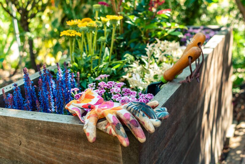 Set Your Imagination Free With These Creative DIY Planter Ideas - Shrubhub