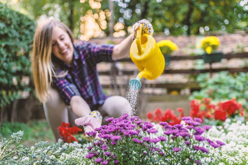 The Top Wildflower Garden Ideas - Shrubhub