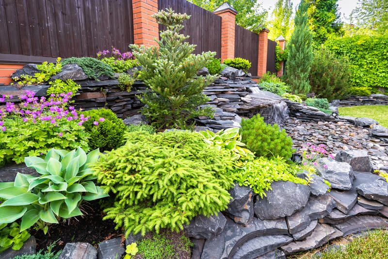 The How-To Guide: Rock Garden Design - Shrubhub