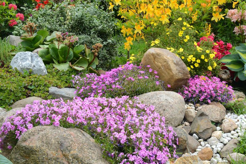 The How-To Guide: Rock Garden Design - Shrubhub