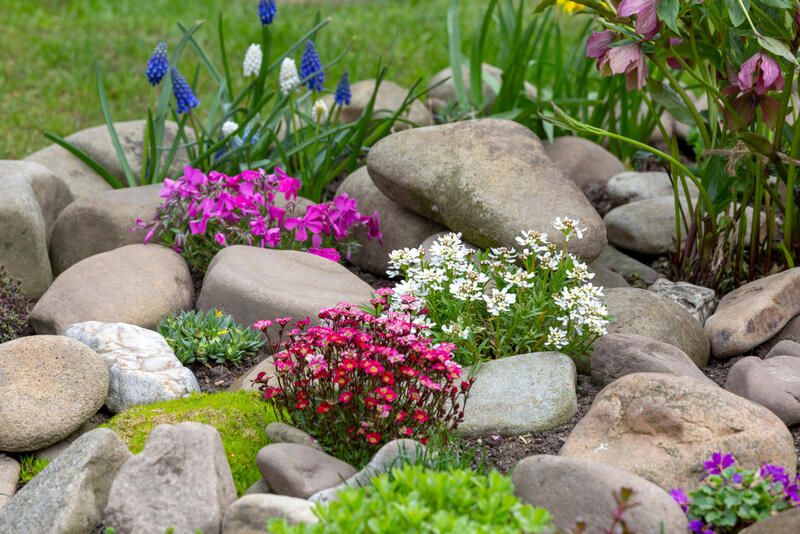 The How-To Guide: Rock Garden Design - Shrubhub