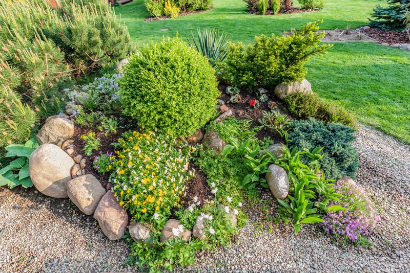 The How-To Guide: Rock Garden Design - Shrubhub