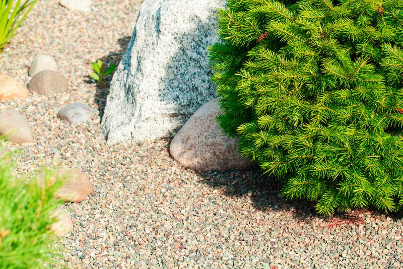 The How-To Guide: Rock Garden Design - Shrubhub